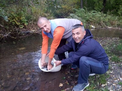 Poribljavanje rijeke Vrbas i njene pritoke Voljišnice