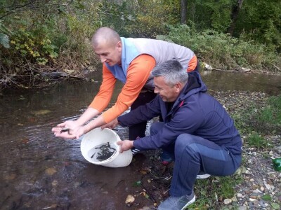 Poribljavanje rijeke Vrbas i njene pritoke Voljišnice