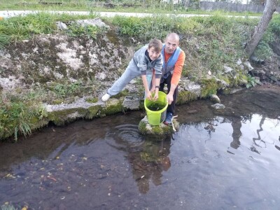 Poribljavanje rijeke Vrbas i njene pritoke Voljišnice
