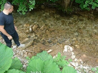 Poribljavanje vodotoka