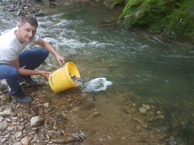 Poribljavanje vodotoka