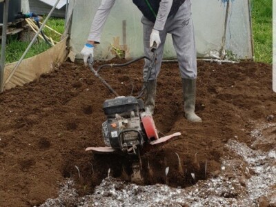 Porodica Hotić ima 18 plastenika u kojima proizvodi rasad i povrće