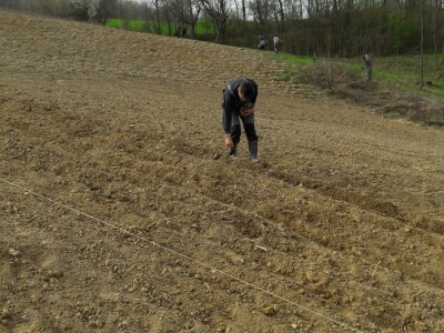 Porodica Janković Porodica Janković