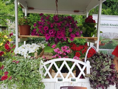 Porodica Kovačević iz Gornje Piskavice prepoznala potencijal cvijećarstva: To nije samo ukras već i izvor prihoda