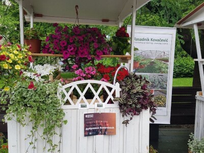 Porodica Kovačević iz Gornje Piskavice prepoznala potencijal cvijećarstva: To nije samo ukras već i izvor prihoda