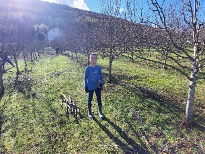 Porodica Rakić iz Kolunića