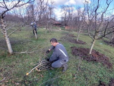 Porodica Rakić iz Kolunića