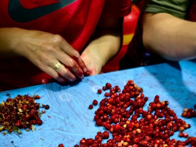 Porodica sa obronaka Kopaonika tradiciju pretvorila u mali biznis