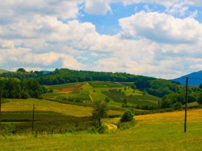 Porodica sa obronaka Kopaonika tradiciju pretvorila u mali biznis