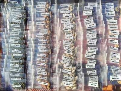 Porodica Sibinčić uzgaja preko 300 vrsta različitog povrća