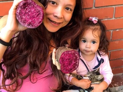 Porodica Sibinčić uzgaja preko 300 vrsta različitog povrća