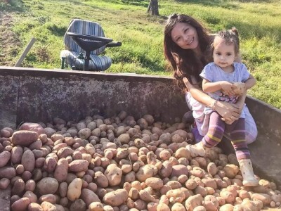 Porodica Sibinčić uzgaja preko 300 vrsta različitog povrća