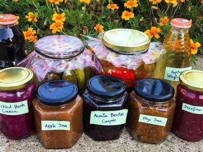 Porodica Sibinčić uzgaja preko 300 vrsta različitog povrća