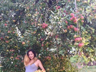 Porodica Sibinčić uzgaja preko 300 vrsta različitog povrća