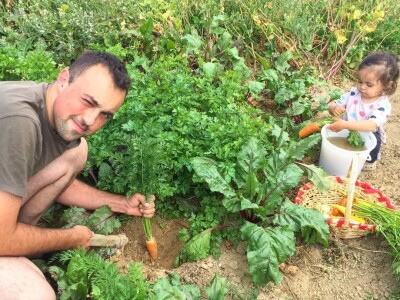 Porodica Sibinčić uzgaja preko 300 vrsta različitog povrća