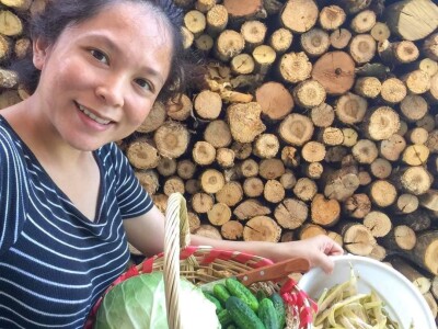 Porodica Sibinčić uzgaja preko 300 vrsta različitog povrća