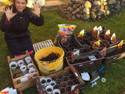 Porodica Sibinčić uzgaja preko 300 vrsta različitog povrća