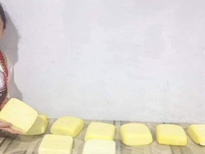 Porodica Sibinčić uzgaja preko 300 vrsta različitog povrća