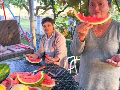 Porodica Sibinčić uzgaja preko 300 vrsta različitog povrća