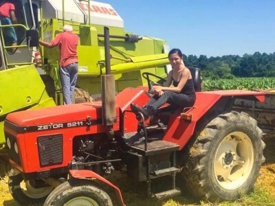 Porodica Sibinčić uzgaja preko 300 vrsta različitog povrća