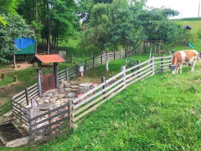 Porodica Sibinčić uzgaja preko 300 vrsta različitog povrća