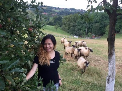 Porodica Sibinčić uzgaja preko 300 vrsta različitog povrća