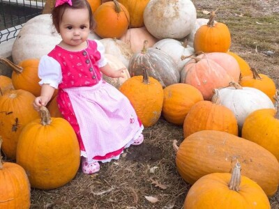 Porodica Sibinčić uzgaja preko 300 vrsta različitog povrća