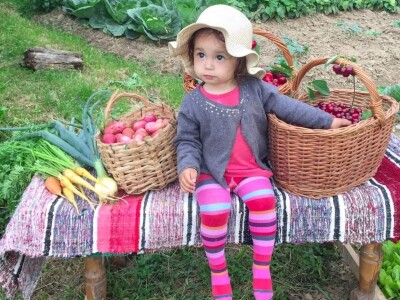 Porodica Sibinčić uzgaja preko 300 vrsta različitog povrća