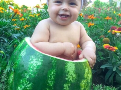 Porodica Sibinčić uzgaja preko 300 vrsta različitog povrća