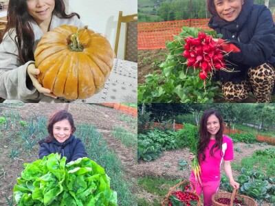 Porodica Sibinčić uzgaja preko 300 vrsta različitog povrća