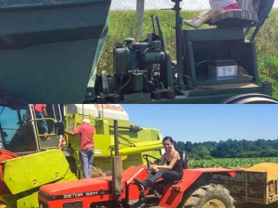 Porodica Sibinčić uzgaja preko 300 vrsta različitog povrća