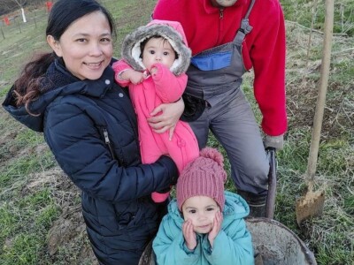 Porodica Sibinčić uzgaja preko 300 vrsta različitog povrća