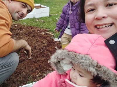 Porodica Sibinčić uzgaja preko 300 vrsta različitog povrća