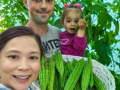 Porodica Sibinčić uzgaja preko 300 vrsta različitog povrća