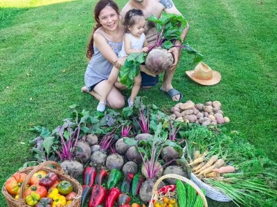 Porodica Sibinčić uzgaja preko 300 vrsta različitog povrća