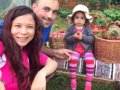 Porodica Sibinčić uzgaja preko 300 vrsta različitog povrća