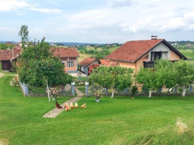 Porodica Sibinčić uzgaja preko 300 vrsta različitog povrća