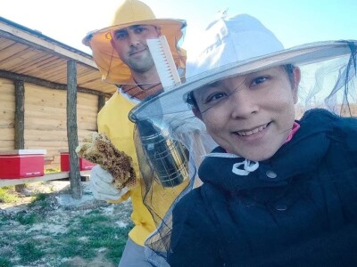 Porodica Sibinčić uzgaja preko 300 vrsta različitog povrća