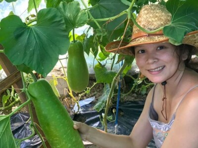 Porodica Sibinčić uzgaja preko 300 vrsta različitog povrća