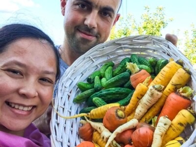 Porodica Sibinčić uzgaja preko 300 vrsta različitog povrća