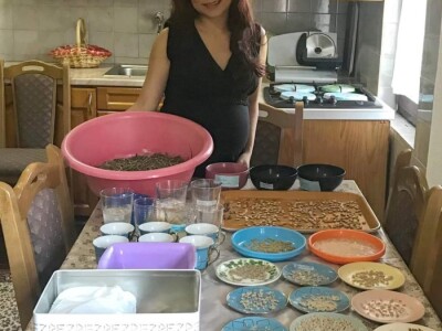 Porodica Sibinčić uzgaja preko 300 vrsta različitog povrća