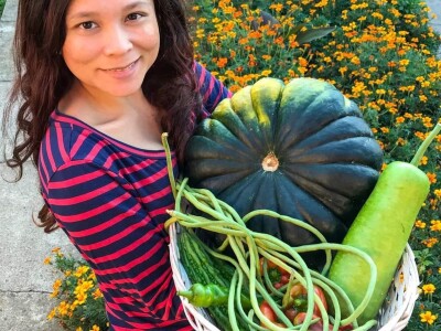 Porodica Sibinčić uzgaja preko 300 vrsta različitog povrća