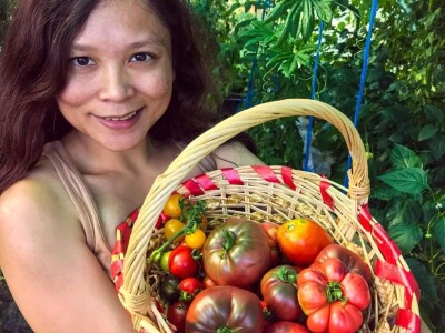 Porodica Sibinčić uzgaja preko 300 vrsta različitog povrća