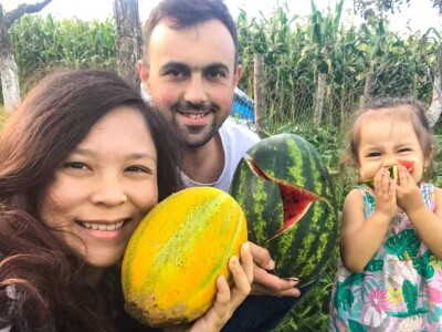 Porodica Sibinčić uzgaja preko 300 vrsta različitog povrća