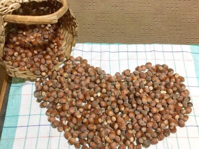 Porodica Sibinčić uzgaja preko 300 vrsta različitog povrća