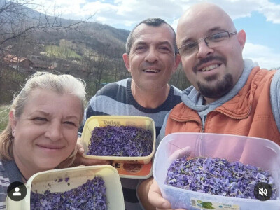 Slatko od ljubičica