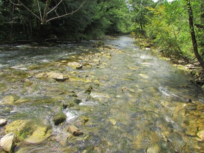 Porodica Zečević iz Donje Kozice