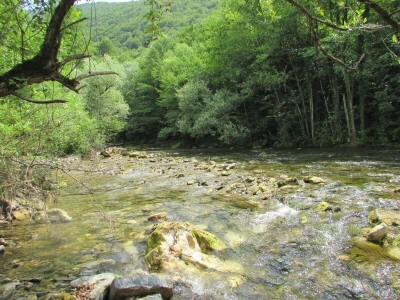 Porodica Zečević iz Donje Kozice