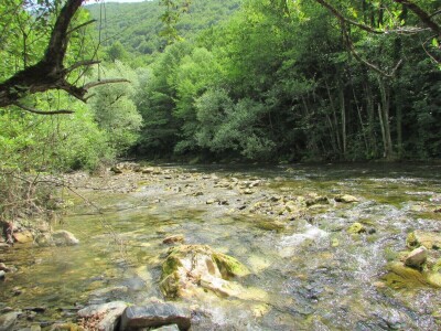 Porodica Zečević iz Donje Kozice