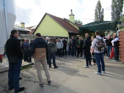 Porodična farma muznih krava Mužlai